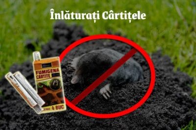 Fumigene anti cartite - Cumpara acum