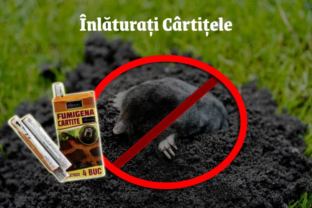 Fumigene anti cartite - Cumpara acum