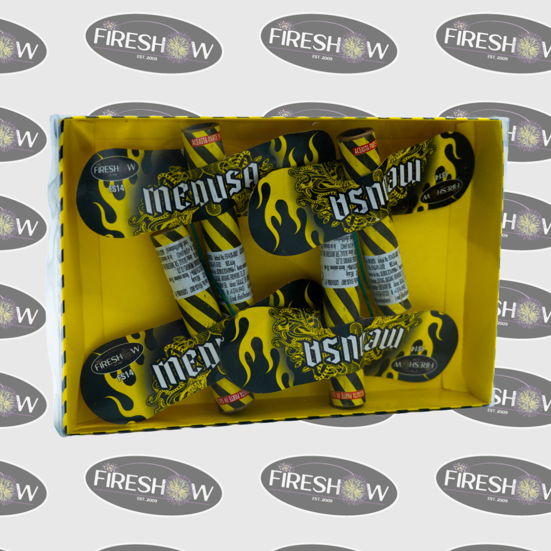 MEDUSA FS14 - imagine 2